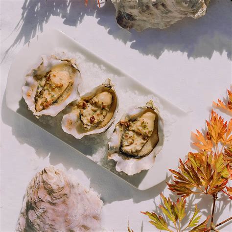 Fresh Oysters for Sale Online - Buy Live Oysters | Taylor Shellfish Farms