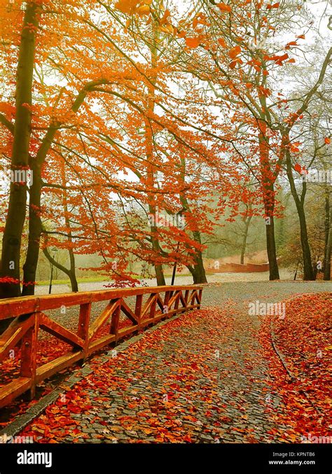 Autumn. Fall scene. Beautiful Autumnal park. Beauty nature scene ...