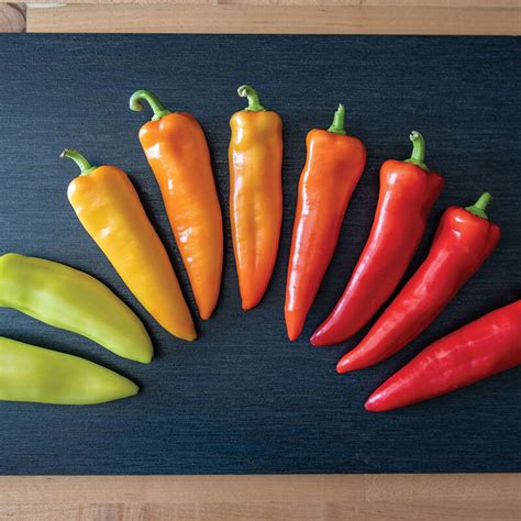 Easy Tips for Picking Hungarian Wax Peppers 2023 - AtOnce