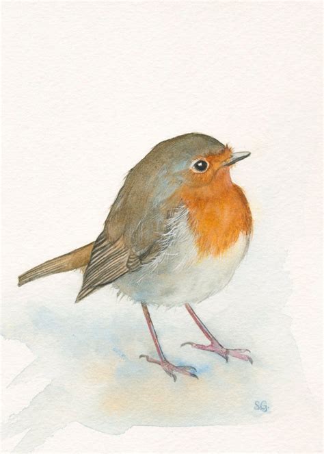 English Robin Print 5x7 of watercolor painting | Etsy Bird Watercolor ...