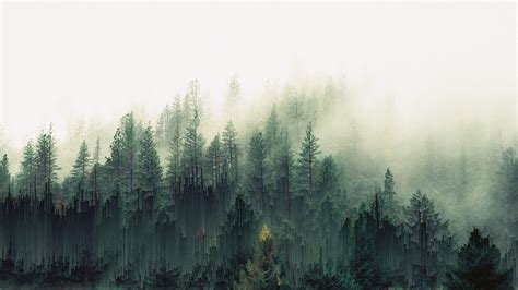 Unique forest Mist Wallpaper | Landscape wallpaper, Green nature ...