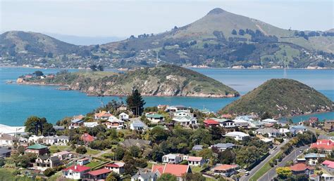 Dunedin 2021: Best of Dunedin, New Zealand Tourism - Tripadvisor