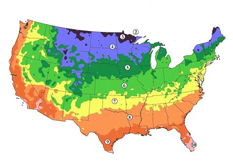 us-temperate-climate-zone-map-best-us-bamboo-hardiness-zones-map-and ...