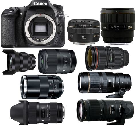 Best Lenses for Canon EOS 80D | Camera Times