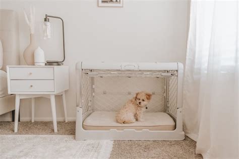 Modern Dog Crates: 7 Stylish Safe Havens - Great Pet Living