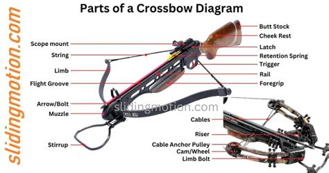 Ultimate Guide for 22 Crossbow Parts:Names Functions & Diagram