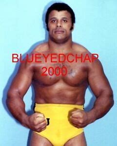 ROCKY JOHNSON WRESTLER 8 X 10 WRESTLING PHOTO WWF NWA | eBay