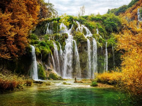 Download Forest Nature Waterfall 4k Ultra HD Wallpaper