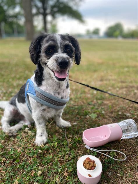 Portable Dog Water Bottle – Max&Missy