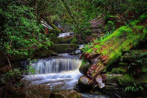 Wellington Park Management Trust - Mt Wellington, Kunanyi