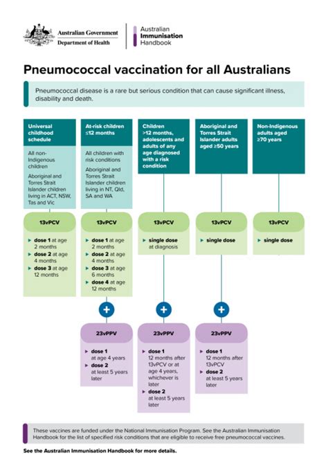 Pneumococcal vaccination for all Australians | The Australian ...