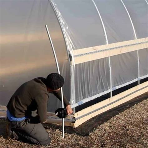 Best Clear Plastic Sheets for Greenhouses - Greenhouse Info