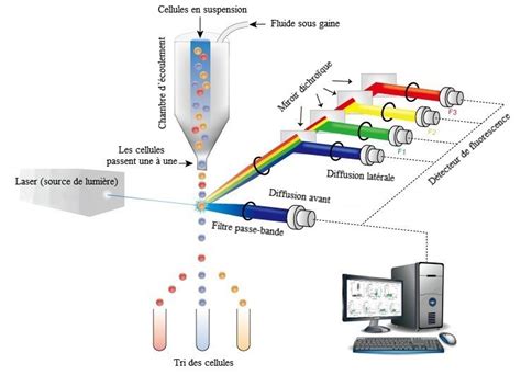 Conseils sur la surveillance de la stabilité biologique de l’eau ...