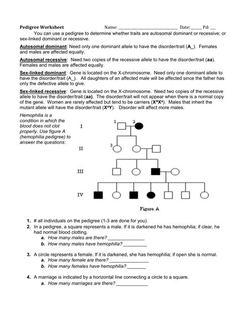 Answer Key Pedigree Worksheet : Genetics Pedigree Worksheet Answer Key ...