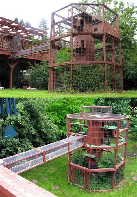 outdoor catio Diy Cat Enclosure, Outdoor Cat Enclosure, Pet Enclosures ...