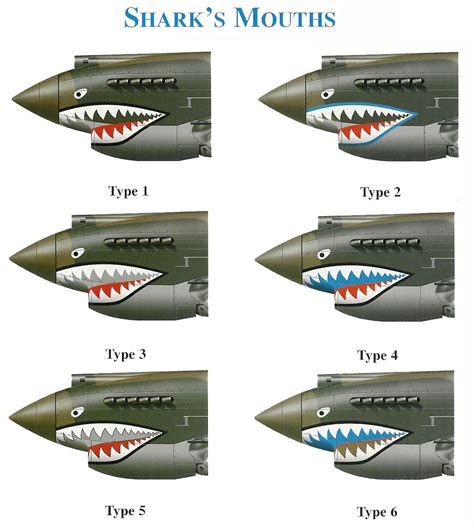 Tiger Shark Plane