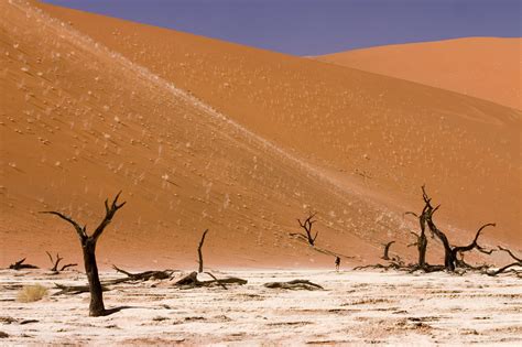 File:Dead Vlei Sossusvlei Namib Desert Namibia Luca Galuzzi 2004.JPG ...