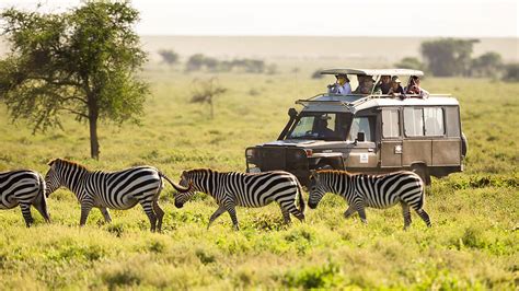 3 Days Amboseli National Park Safari Kenya from $590pp | Camping ...