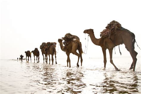 Photo Essay: Daring To Explore The Danakil Desert | AFKTravel