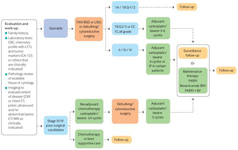 Ovarian Cancer - Ovarian Cancer Diagnostic Accuracy And Tumor Types ...