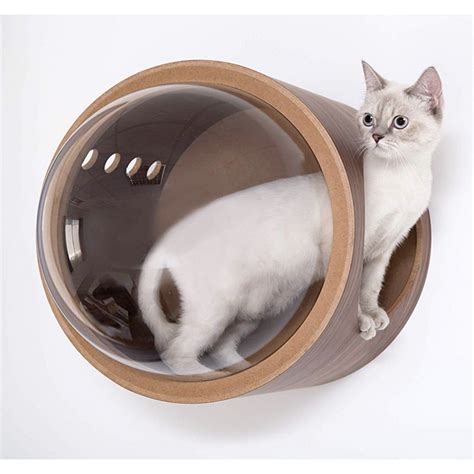 Spaceship Gamma Ultra Modern Cat Bed or Wall Mounted Bed - CatsPlay ...