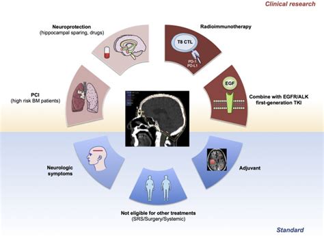 The Current Role of Whole Brain Radiation Therapy in Non–Small Cell ...