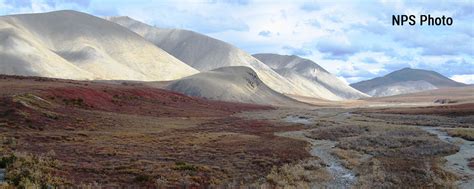 Kobuk Valley National Park Fast Facts - National Parked