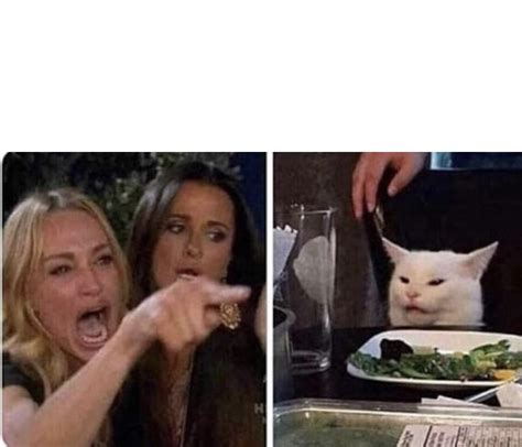 women yelling at confused cat meme template : r/dankmemesTemplates