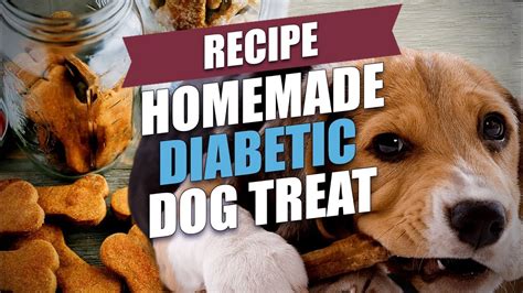 15 Great Diabetic Dog Treat Recipes – Easy Recipes To Make at Home