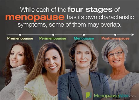 The Four Stages of Menopause and Their Symptoms | Menopause Now