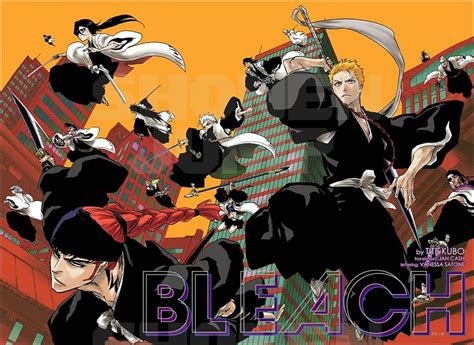 Is Bleach Hell arc coming in 2022? Explained