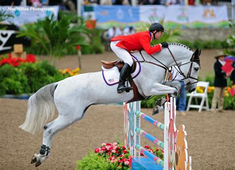 Image result for show jumping grand prix | Horses, Show horses, Horse ...