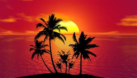 Tropical Summer Sunset - Free image on Pixabay