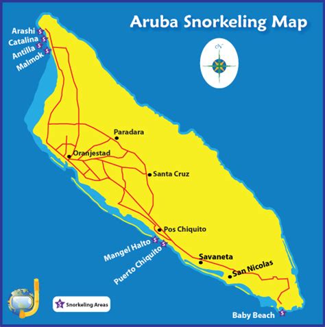 Complete Aruba Snorkeling Guide - Recommended Beaches & Tours