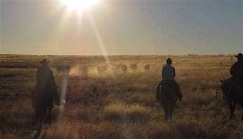 The Goodnight-Loving Trail: A Cattle Drive Branded in the Mind’s Eye