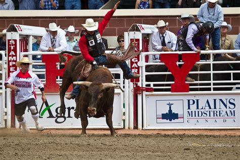 Things to do at the Calgary Stampede in 2023 / 2024