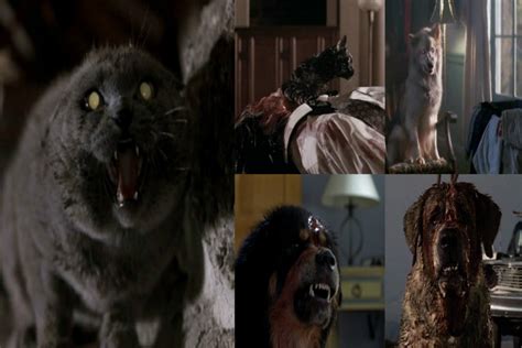 Top Ten Horrific Pets - Horror Movie - Horror Homeroom