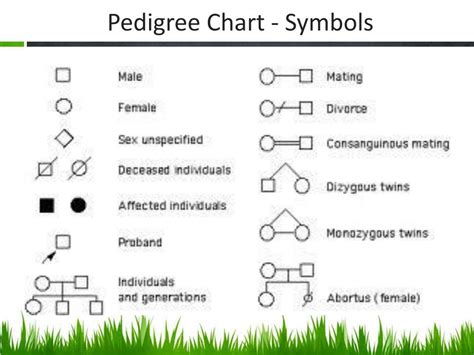 Pedigree Chart Definition Interpretation Symbols Significances | The ...