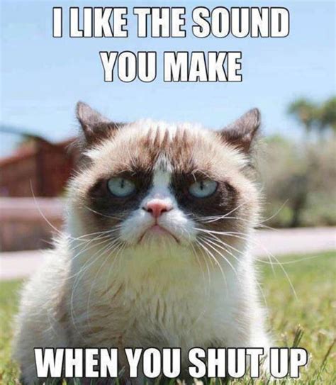 GRUMPY CAT NO MEME FACEBOOK image memes at relatably.com