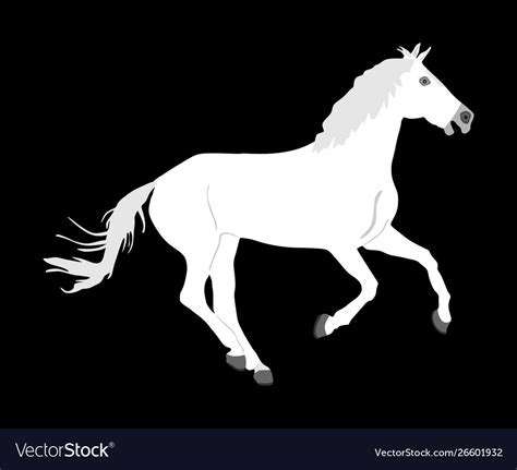 Elegant white horse isolated on black background Vector Image