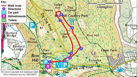 Box Hill's Natural Play Trail | Surrey | National Trust