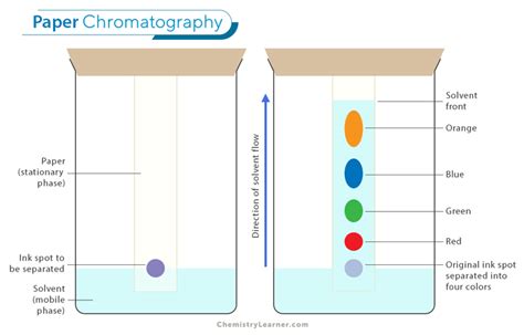 Partition Chromatography: Definition, Principle, & Procedure