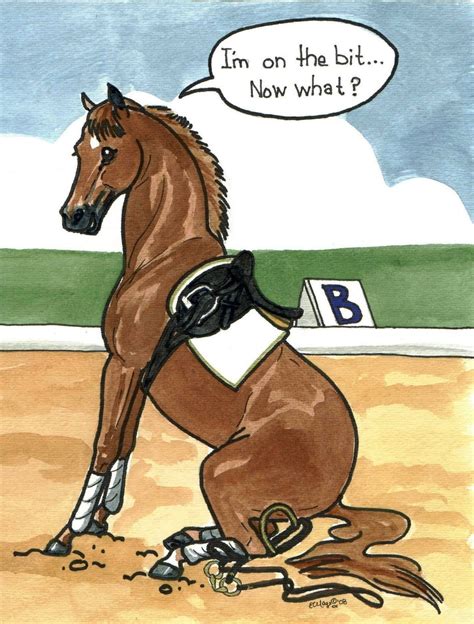 Haha, horse humour! | Funny horse pictures, Funny horses, Horse cartoon