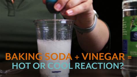 Vinegar and Baking Soda Reaction: Heat Up or Cool Down? - Vernier