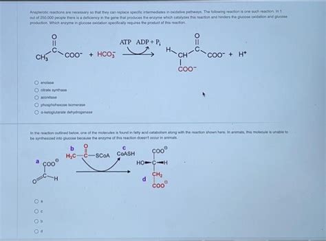 Solved Anaplerotic reactions are necessery so that they can | Chegg.com