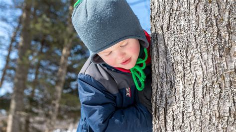 maple sugar shacks tours in massachusetts