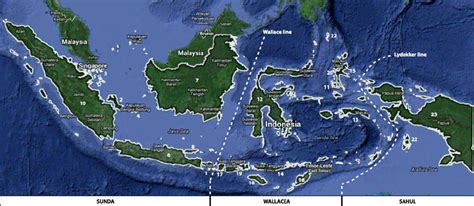 Map of Indonesia including the 23 islands considered in the present ...