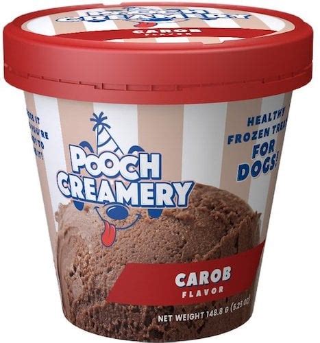 The 7 Best Dog Ice Cream Brands So Your Pup Can Join the Party