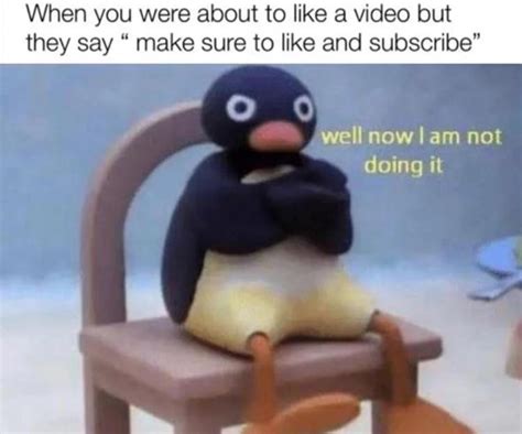 You can't tell me what to do | Pingu | Know Your Meme