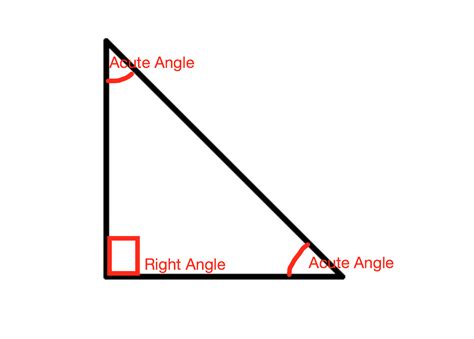 What is the relationship between the two acute angles in a right triangle?